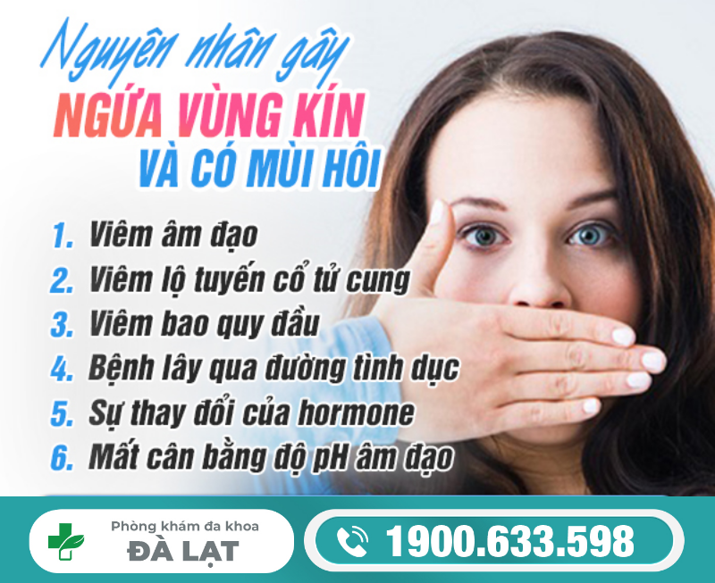 Hình ảnh minh họa